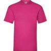 fuchsia (57)
