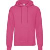 fuchsia (57)