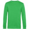 apple green