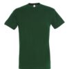 bottle green