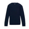new french navy