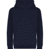 new french navy