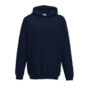 new french navy