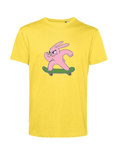 skater bunny