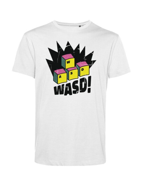 WASD keys