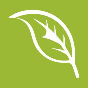 bawelna organiczna