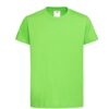 kiwi green