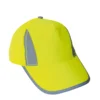 Signal Yellow