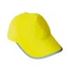 Signal Yellow