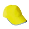 Signal Yellow
