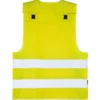 Signal Yellow